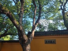 -西园戒幢律寺