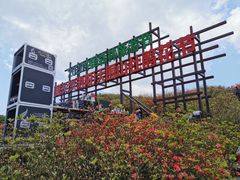 -大围山国家森林公园