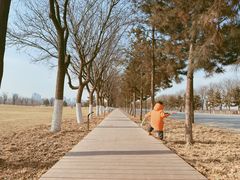 -汉长安城未央宫国家考古遗址公园