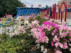 -中华郡文化旅游景区