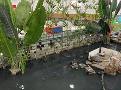 -夏家大锅台炖鱼馆