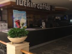 -成都绿洲大酒店(春熙路太古里店)