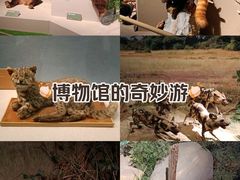 -深圳博物馆历史民俗馆