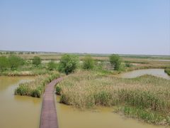-盐城丹顶鹤湿地生态旅游区