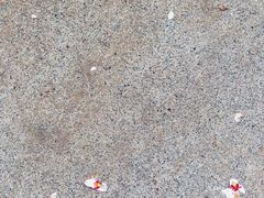 -荣德灶台鱼(圣泉寺店)