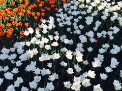 -长春公园(普阳街道)