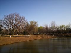 -西安浐灞国家湿地公园