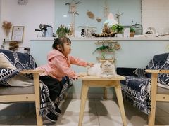 -平行世界·猫咖(首经贸店)