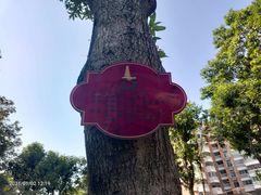 -船政文化景区-罗星塔公园