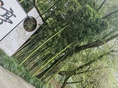 -兰亭风景区