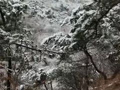 -崂山巨峰游览区