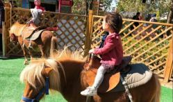 -萌宠亲子动物乐园(槐房万达店)