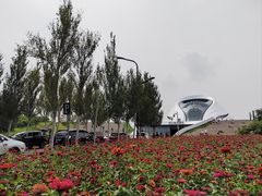-哈尔滨大剧院