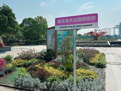 -金卉庄园
