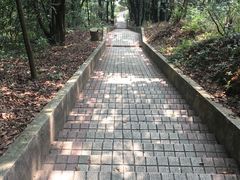 -广州市帽峰山景区