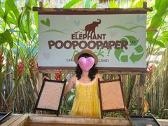 -大象粑粑造纸公园