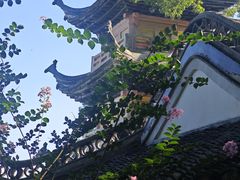 -狼山风景名胜区