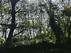 -婺源月亮湾