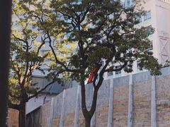 -大馆(前中区警署建築群)
