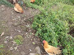 -金堂县云顶石城风景区