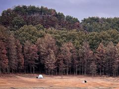 -青龙山国家森林公园