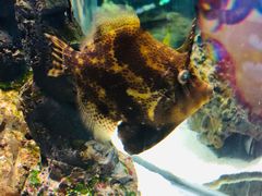 -太平洋海底世界