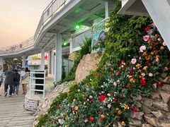 -北戴河碧螺塔海上酒吧公园