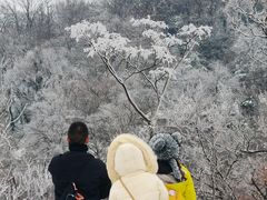 -紫金山山顶公园
