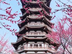 -洋湖国家湿地公园