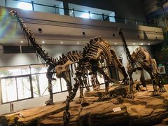 -自贡恐龙博物馆