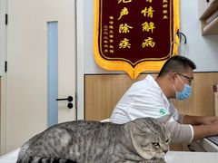 -瑞派长江宠物医院·猫科·外科·24小时夜护(谊城公寓分院)