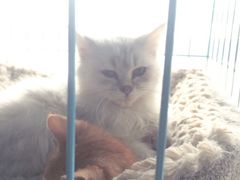 -赢吧Bliss音乐酒吧