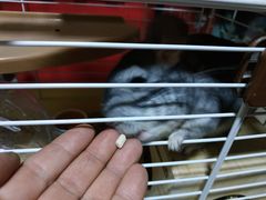 -龙猫仔乐园(惠福东路店)