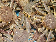 -新海渔港·胶东海鲜家常菜·家宴(奥体中心店)