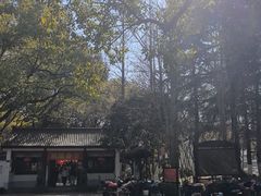 -瀛洲公园