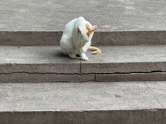 -晓港公园