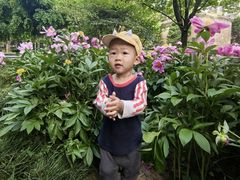 -木塔寺遗址生态公园