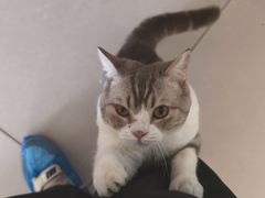 -平行世界·猫咖(首经贸店)