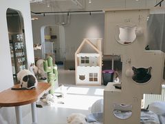 -Cappucimeow猫咪咖啡馆(韦伯时代店)