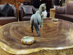 -福禧酒窖·中餐厅 (万柳店)