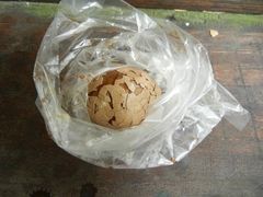 -金盆阿嬷香菇茶叶蛋(玄光店)