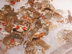 -新希望诺富特酒店-青岛湾中餐厅