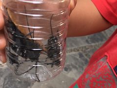 -南通博物苑-崇川人民公园