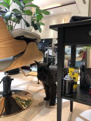 -Hello Lady发型设计