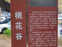 -南国桃园旅游度假区