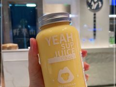 -野萃山·潮汕厚果汁(十亩地店)