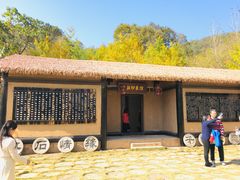 -千年银杏谷文化旅游区