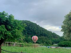 景点-南沙蒲洲花园