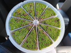 -蟹天蟹地农家菜·阳澄湖大闸蟹(浅水湾店)