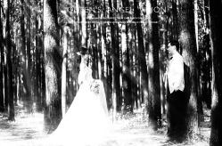 -四叶草环球旅拍